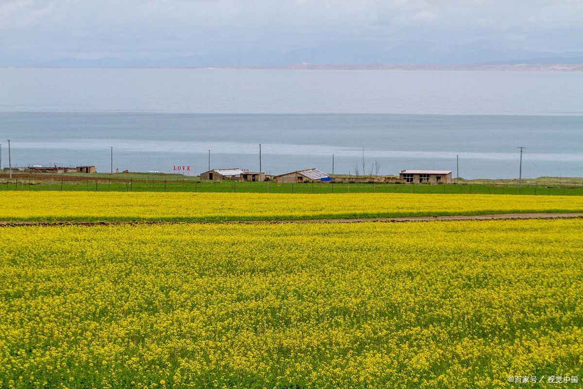 西宁出发青海湖一日游多少钱